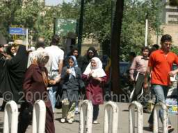 PICT7556 zase tucnaci.jpg